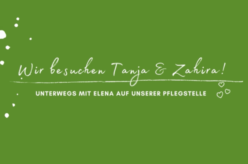 Mit Elena unterwegs: Pflegestelle Tanja Geigis